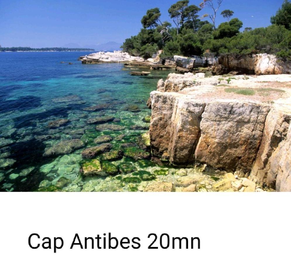Bel Appartement Les Pieds Dans L'Eau วิลล์เนิฟ-ลูเบ ภายนอก รูปภาพ